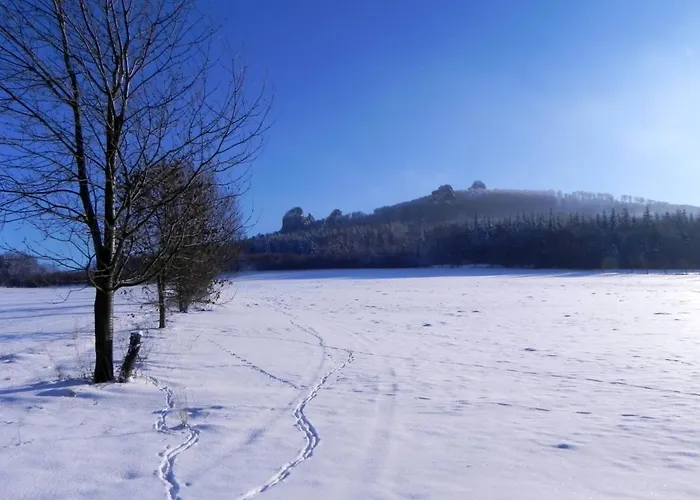 Chalet Ferienbungalow Naehe Willingen-winterberg